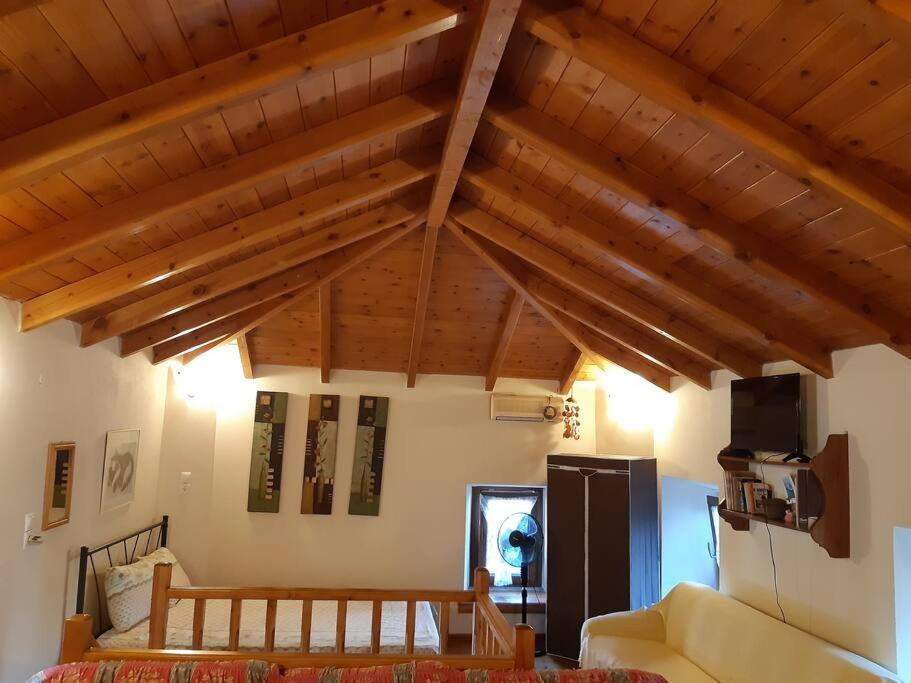 Kouros Villa! Paltsi Pilion Exteriör bild