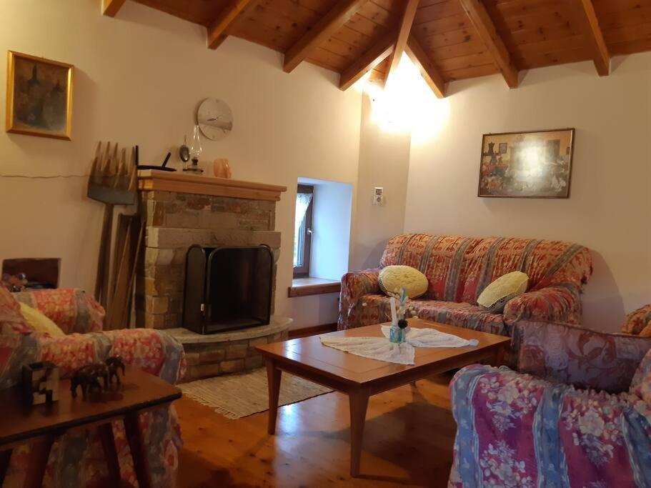 Kouros Villa! Paltsi Pilion Exteriör bild