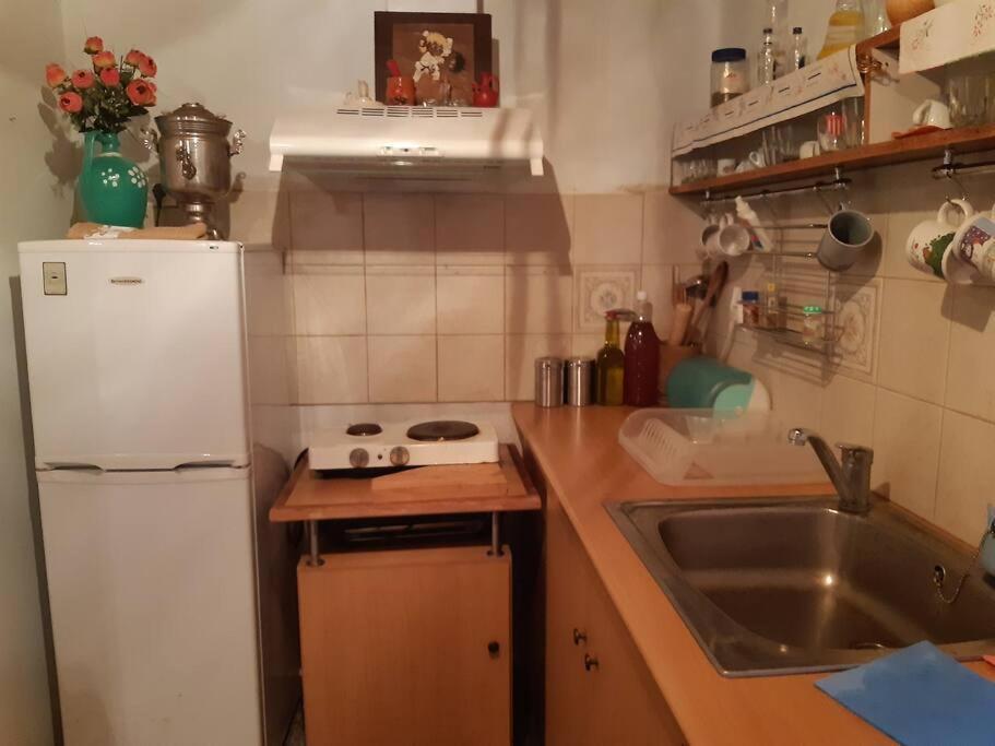 Kouros Villa! Paltsi Pilion Exteriör bild