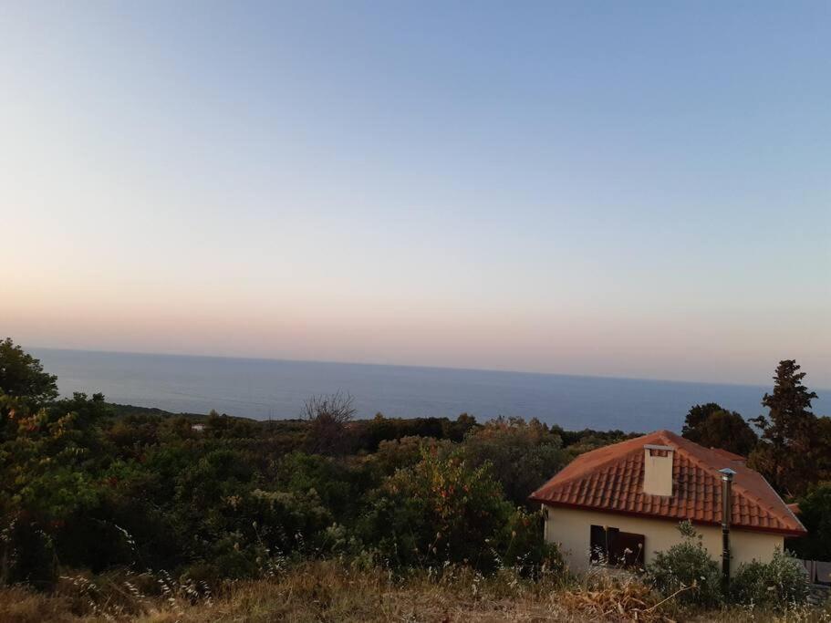 Kouros Villa! Paltsi Pilion Exteriör bild