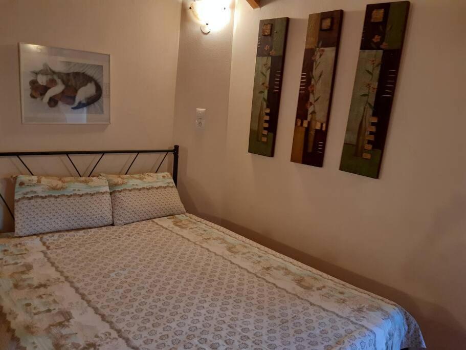 Kouros Villa! Paltsi Pilion Exteriör bild