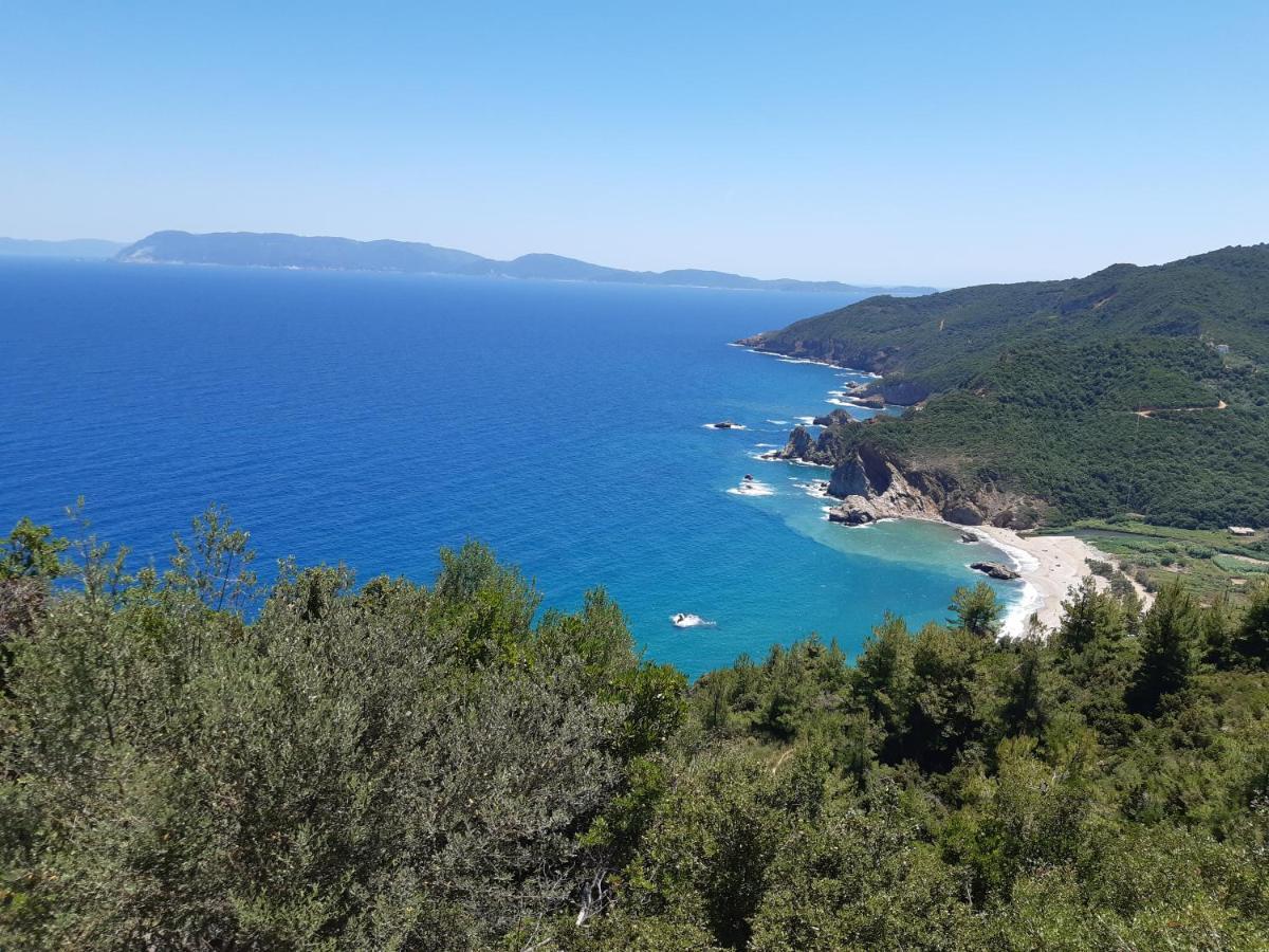 Kouros Villa! Paltsi Pilion Exteriör bild