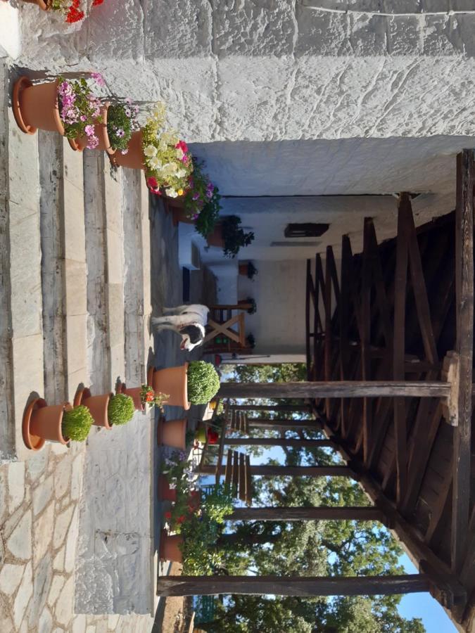 Kouros Villa! Paltsi Pilion Exteriör bild