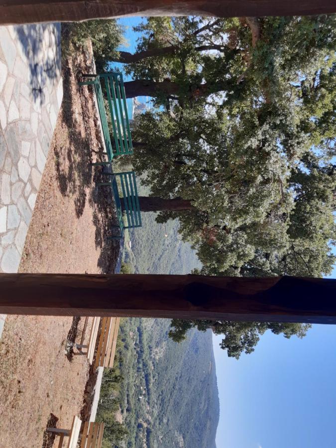 Kouros Villa! Paltsi Pilion Exteriör bild