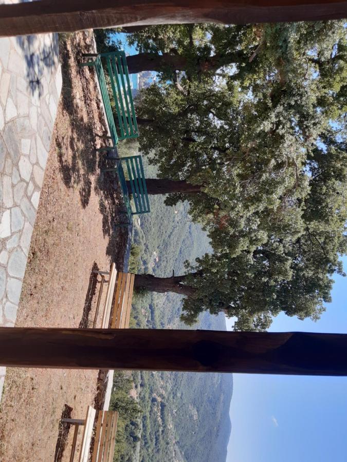Kouros Villa! Paltsi Pilion Exteriör bild